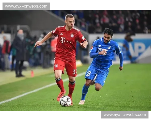 霍芬海姆主帅:对阵拜仁需极致防守,反击定胜负 霍芬海姆主帅:对阵拜仁需极致防守,反击定胜负